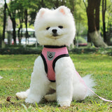 Adjustable pet car safety seat belt