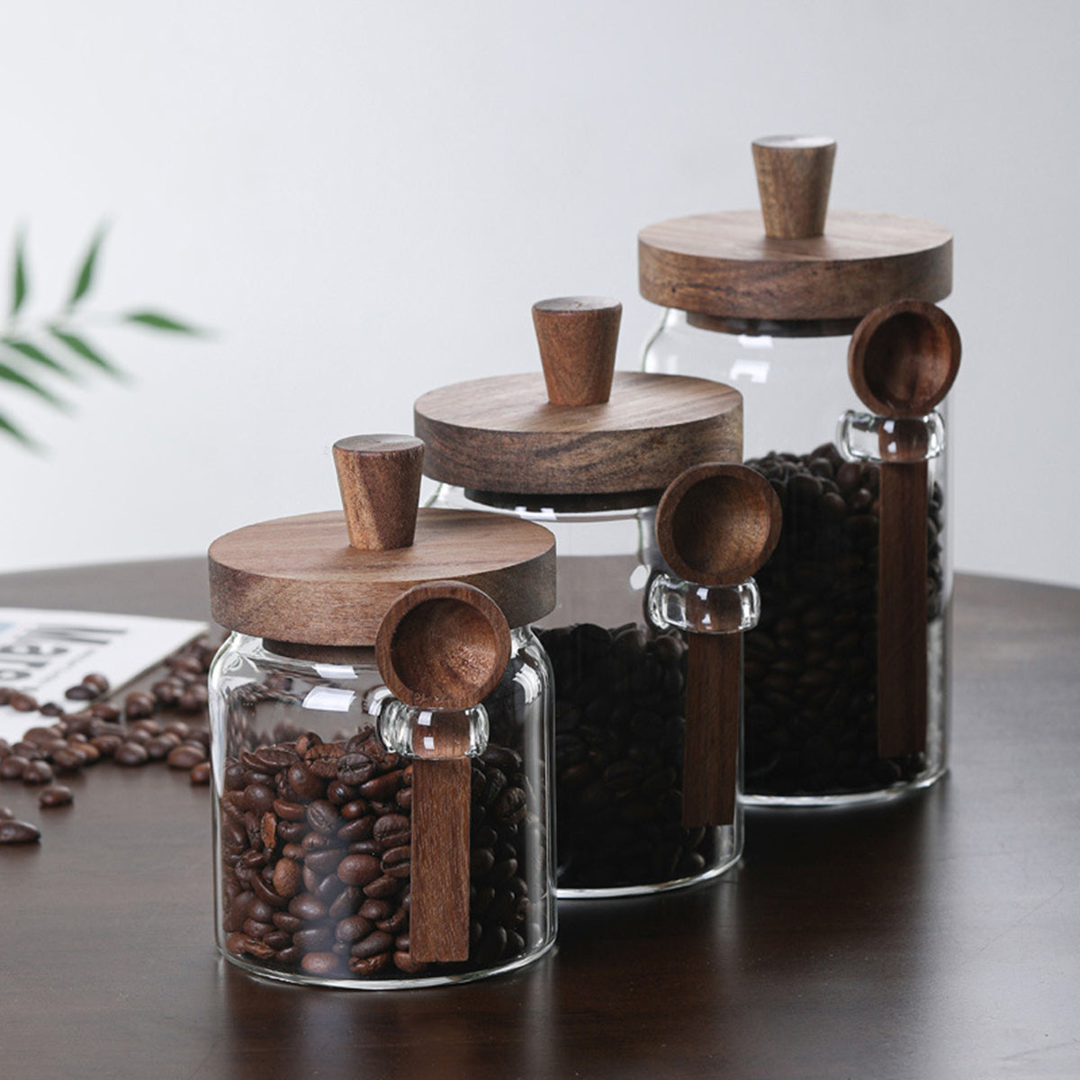 3-Piece Glass Coffee and Tea Jars with Spoons
