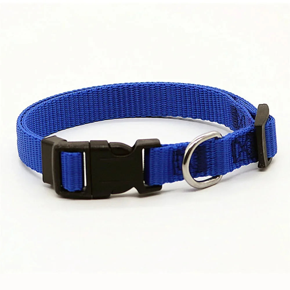 Adjustable Nylon Dog Collar - Pet Training Collar