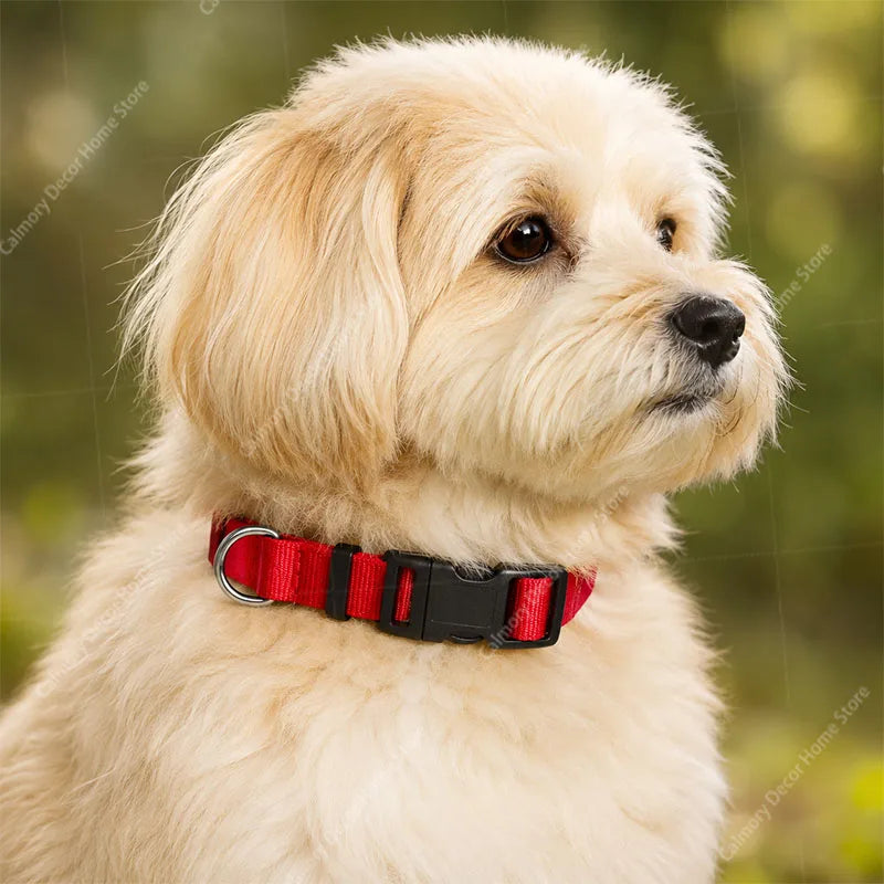 Adjustable Nylon Dog Collar - Pet Training Collar
