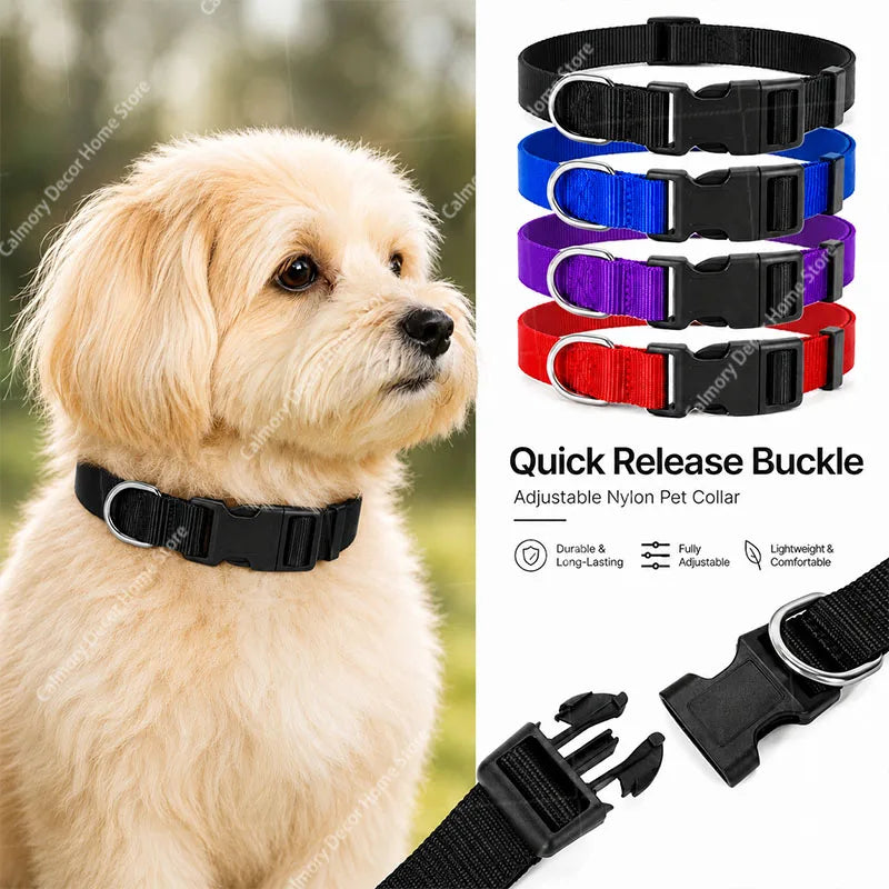 Adjustable Nylon Dog Collar - Pet Training Collar