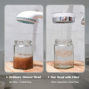 3-Mode High-Pressure Filtered Handheld Shower Head
